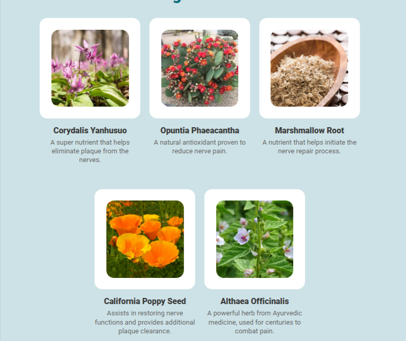 NerveCalm Ingredients