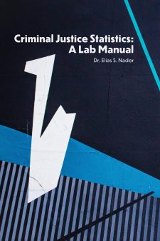 Criminal Justice Statistics book cover