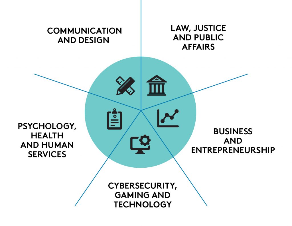 A pie chart split into five pathways of academics at UBalt