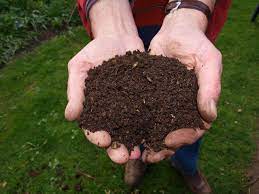 Two hands hold a handful of dark brown compost