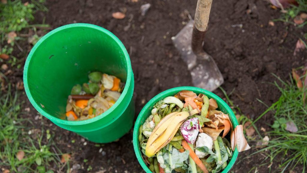 Two green buckets full of food scraps are ready to be added to the compost pile