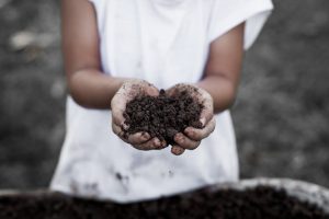 A child holds compost in their hands