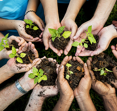 Several pairs of hands in a circle hold soil and seedlings