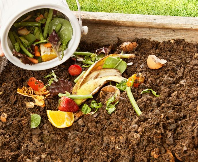 Food scraps in a compost pile