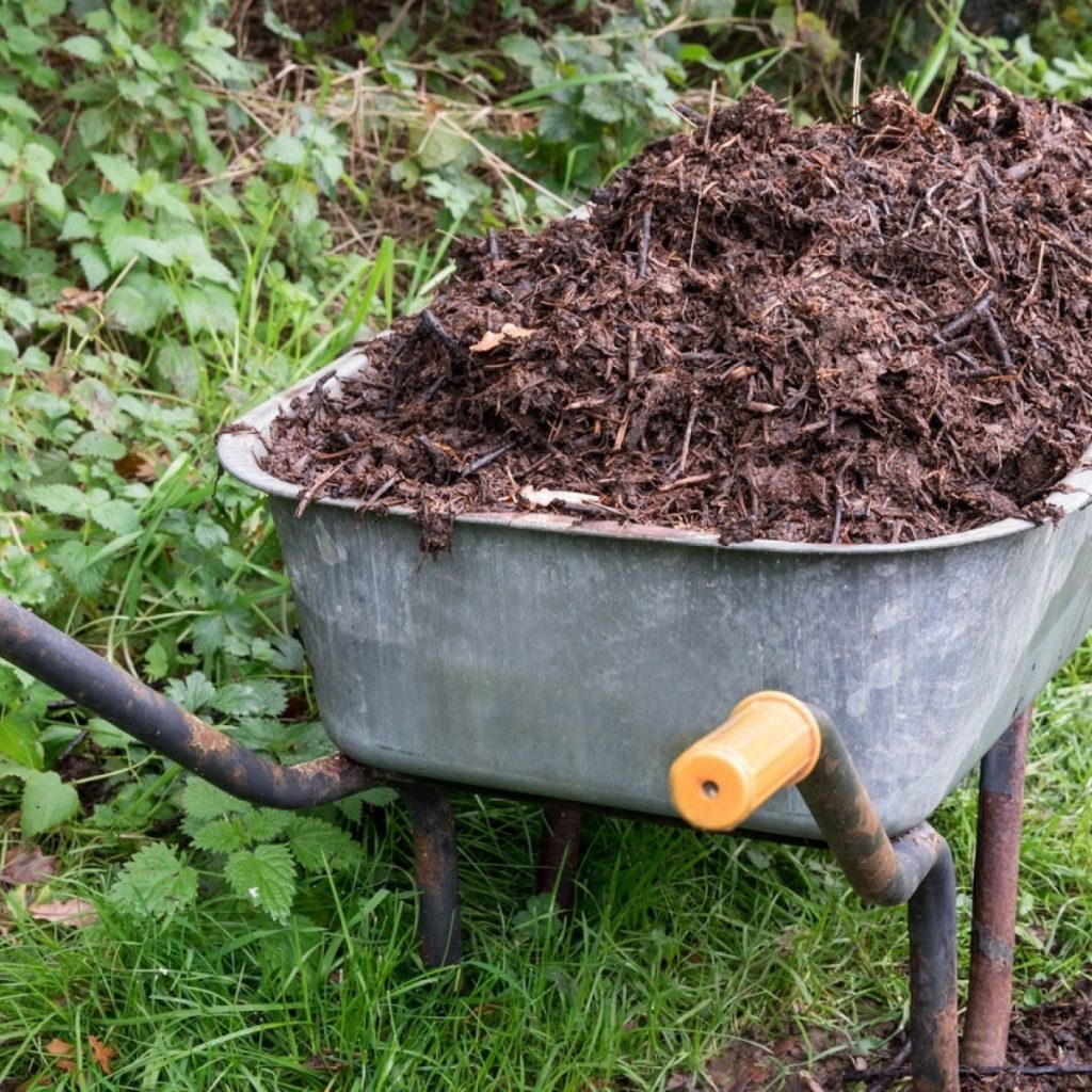 The Composting Mix – The Road to a Zero-Waste Lifestyle: A Composting ...