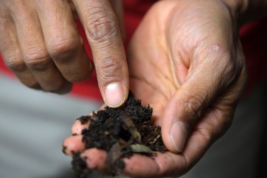 A person holds soil in their hand and points to a worm with their index finger