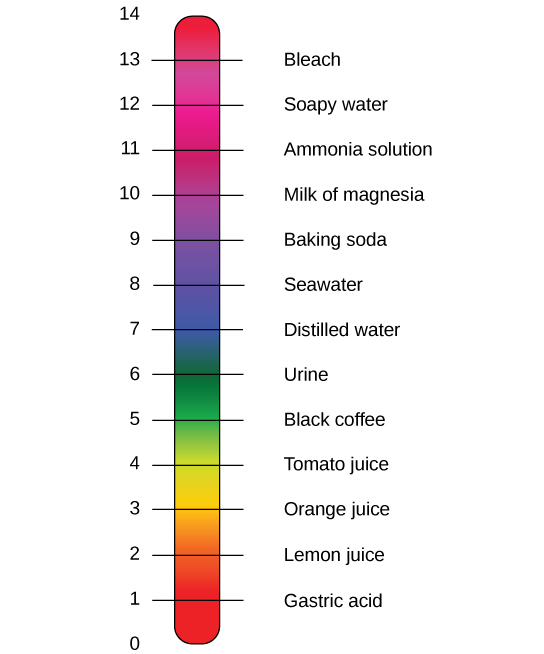 assignment on properties of water