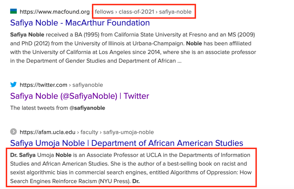 duckduckgo search results for Safiya Noble