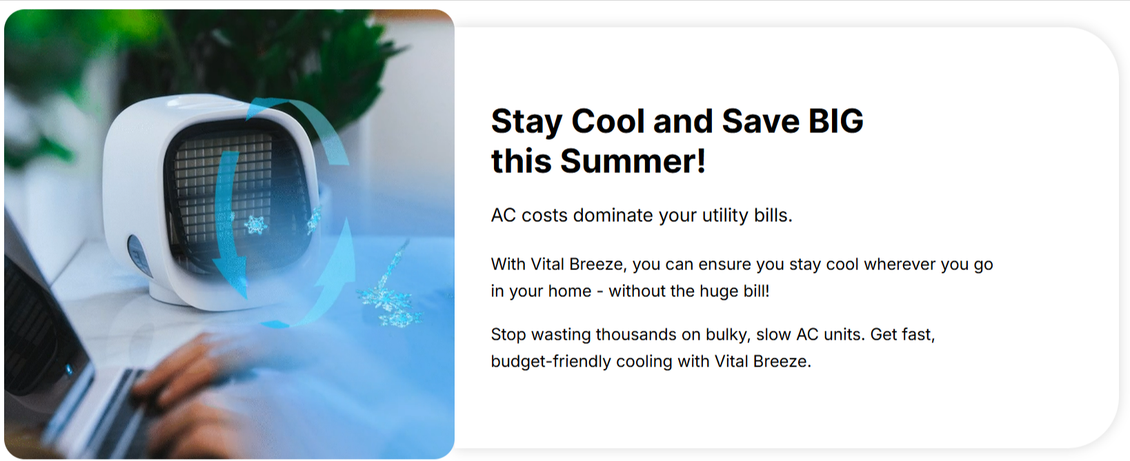 Vital Breeze AC Reviews